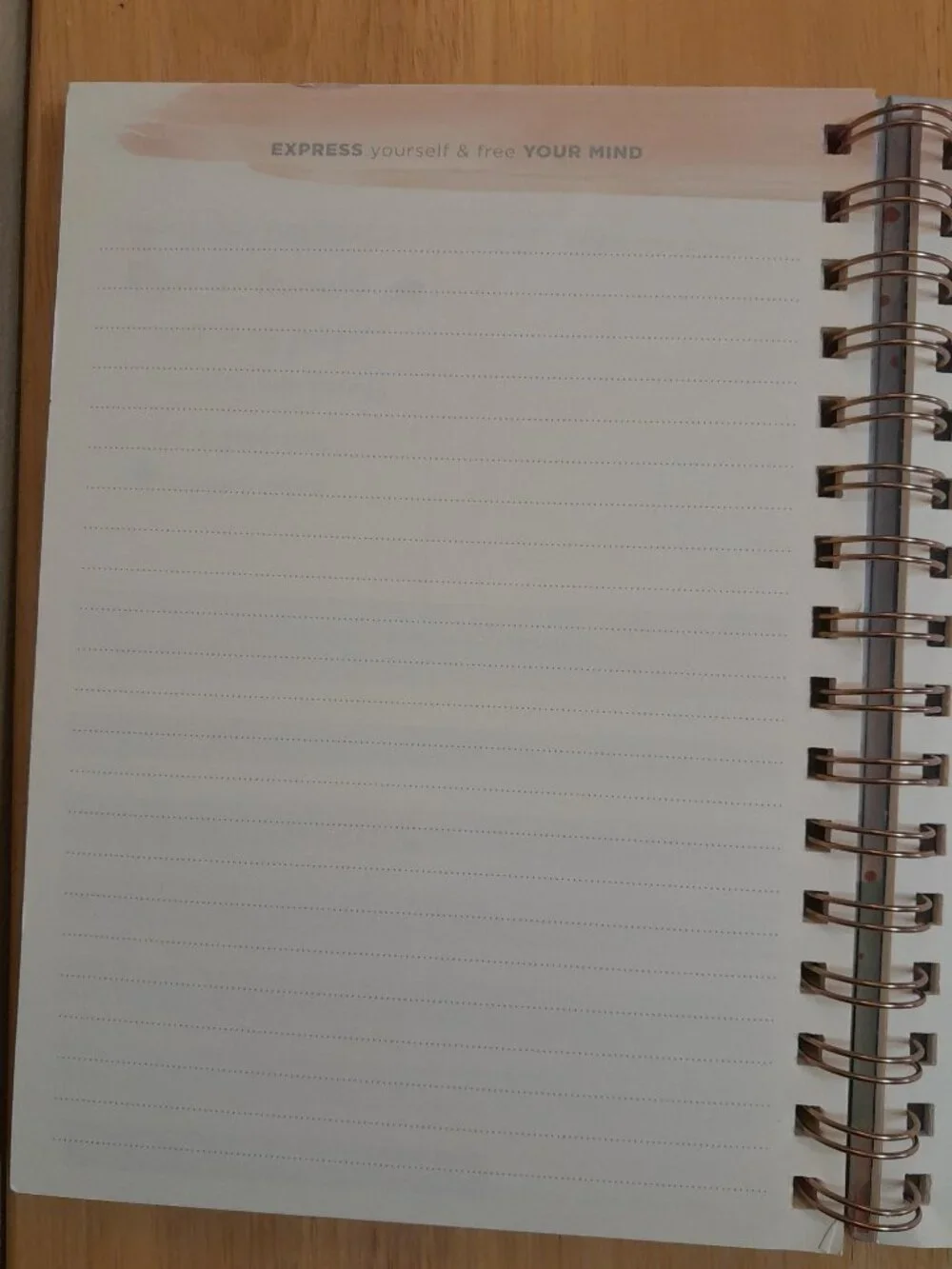 Wellness Journal by Clementine Paper Inc